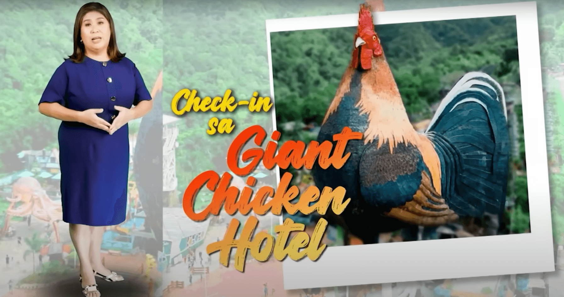 Kapuso Mo, Jessica Soho - Check-in sa Giant Chicken Hotel Kapuso Mo, Jessica Soho - Check-in sa Giant Chicken Hotel